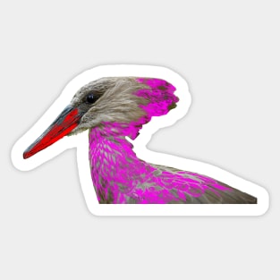 Bird Paradise Sticker